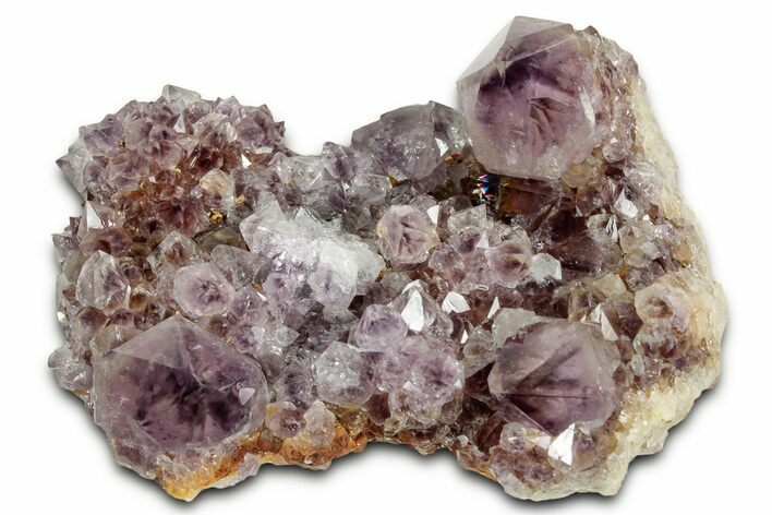 Deep-Purple Cactus Amethyst Crystal Cluster - South Africa #337629